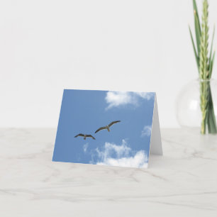 Carte de note vierge—La Jolla Seagulls