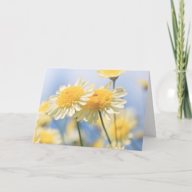 Carte de note vierge - Marguerite jaune soleil (Devant)