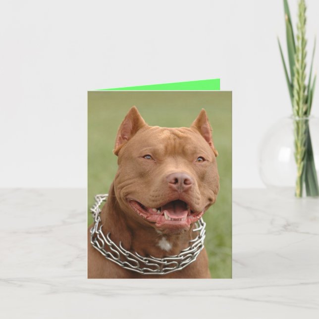 Carte de note vierge Pitbull Puppy Chien (Devant)