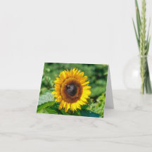 Carte de note vierge - Tournesol du Vermont