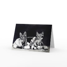 Carte de note vilaine de chatons