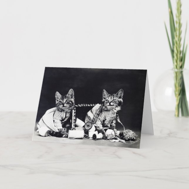 Carte de note vilaine de chatons (Devant)