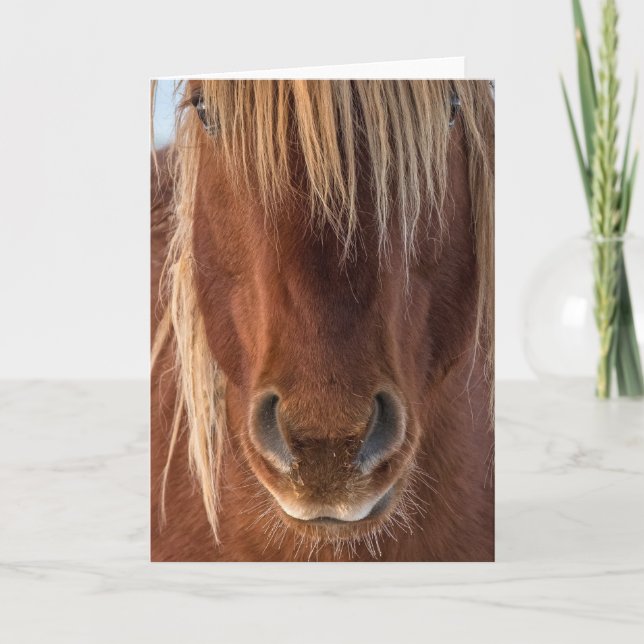 Carte de note "Whiskers" (Devant)