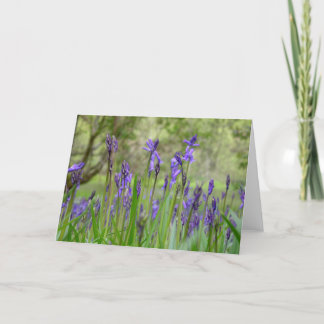 Carte de notes Bluebells