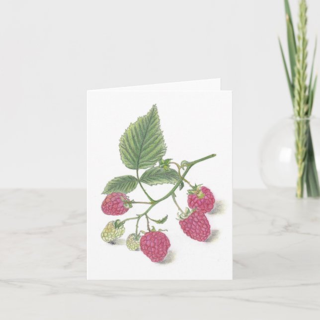 Carte de notes de framboise (Devant)