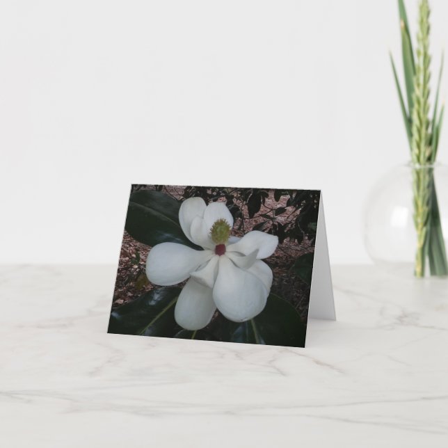 Carte de notes pliées de photos de Magnolia (Devant)