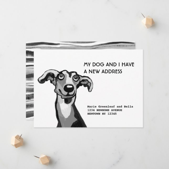 Carte de notification de déménagement de Whippet e (Devant/Arrière en situation)