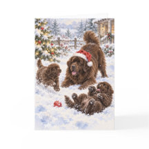 Carte de nouveau brun et chiots jouant dans la nei