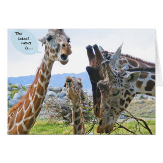 Carte de nouvelles de girafe