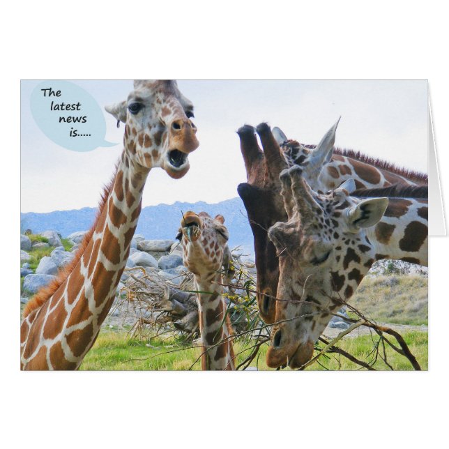 Carte de nouvelles de girafe (Devant Horizontal)
