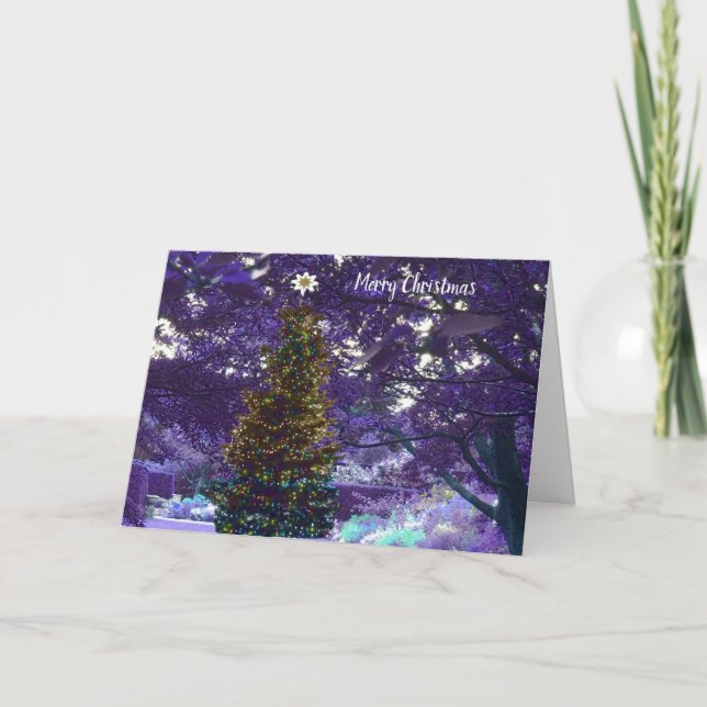 Carte de nuit de Noël pourpre (Devant)