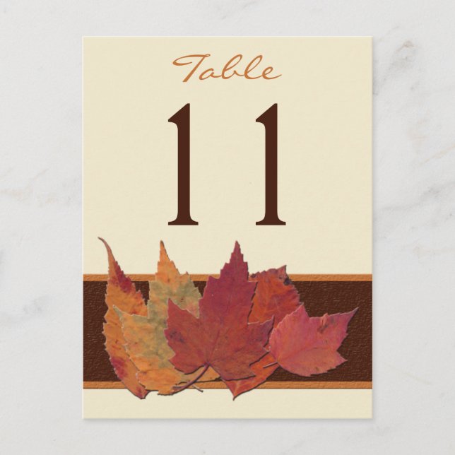 Carte de numéro de table Brown Orange Ivory Dried  (Devant)