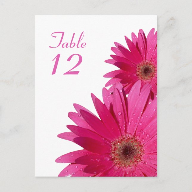 Carte de numéro de table rose Gerbera Daisy (Devant)
