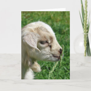 Carte de Pâques adorable Baby Chèvre