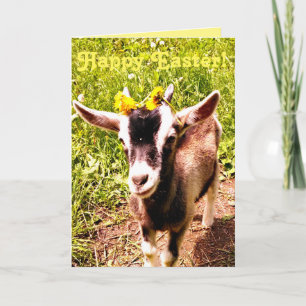 Carte de Pâques adorable de chèvre de bébé