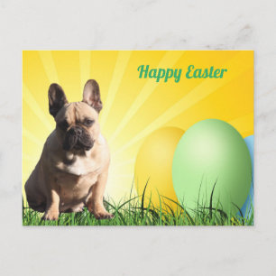 Carte de Pâques bouledogue français carte postale