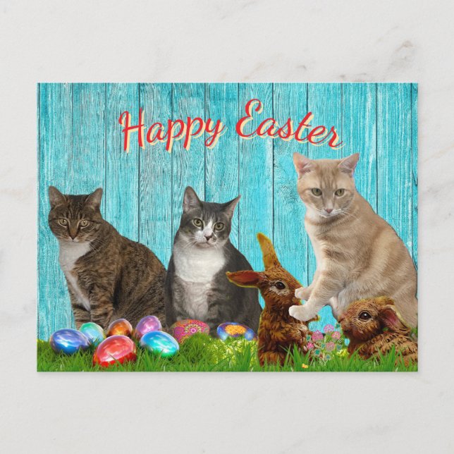 Carte de Pâques - Chats et Lapins (Devant)