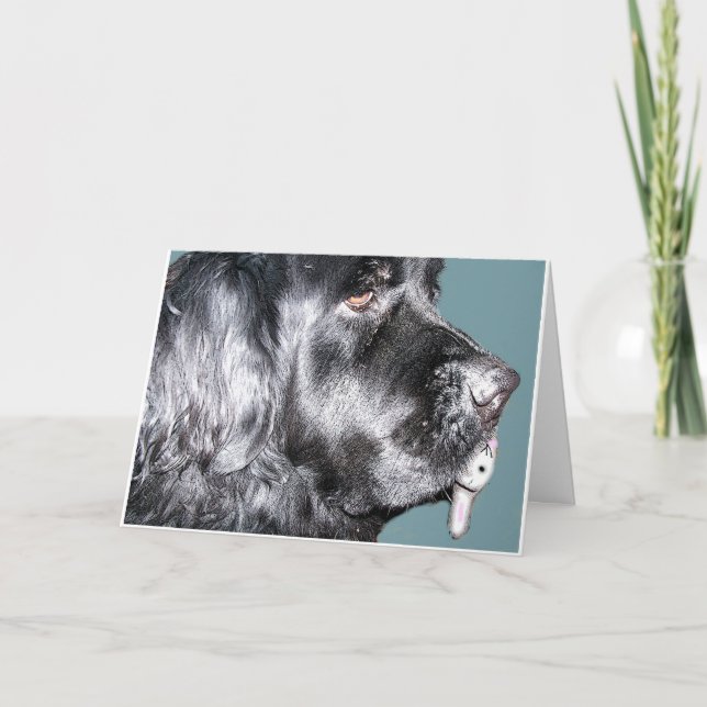 Carte de Pâques, chien de Terre-Neuve (Devant)