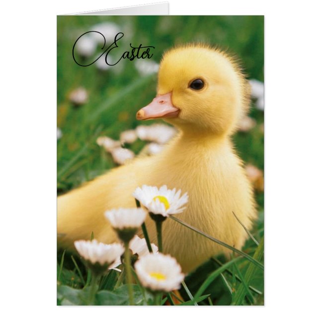 Carte de Pâques - Cute Duckkling (Devant)