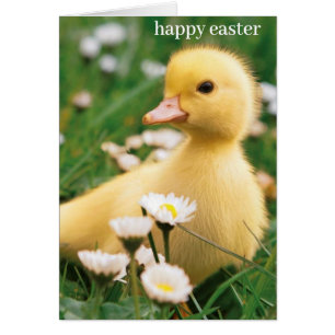 Carte de Pâques - Cute Duckkling