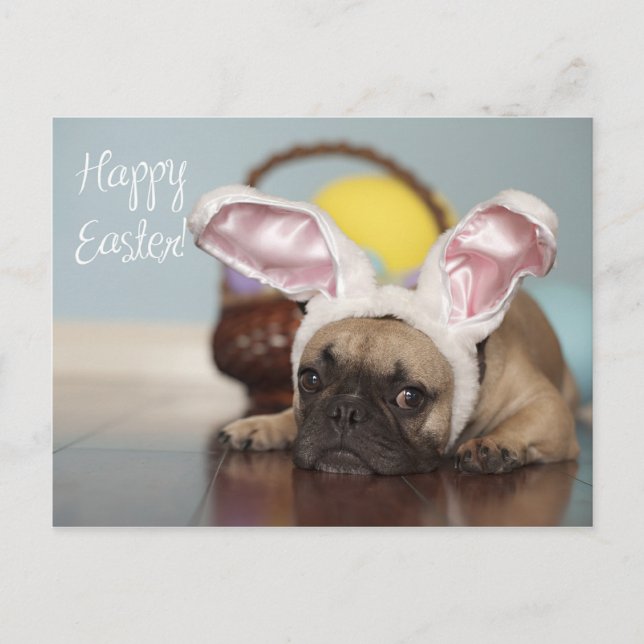 Carte de Pâques de bouledogue français ! (Devant)