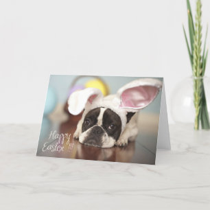 Carte de Pâques de bouledogue français !