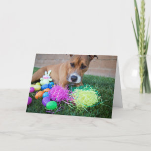 Carte de Pâques de chien