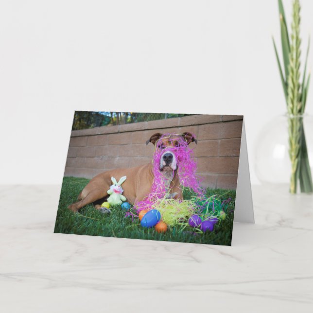 Carte de Pâques de chien (Devant)