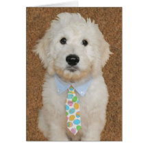 Carte de Pâques de chiot de Goldendoodle