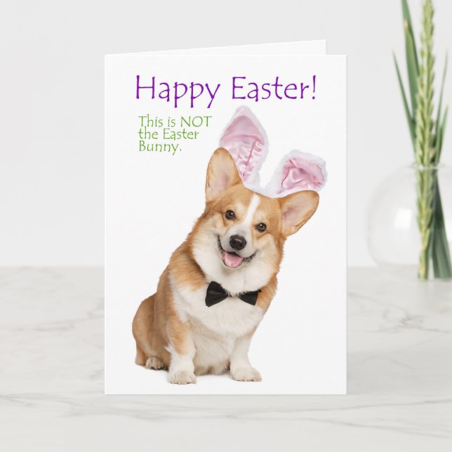 Carte de Pâques de Funny Corgi (Devant)