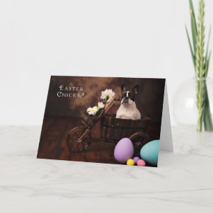 Carte de Pâques de poussin de Pâques et de