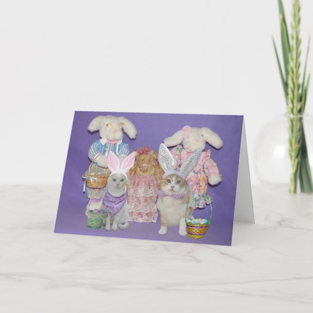 Carte de Pâques drôle de lapins de chat (Devant)