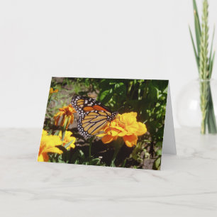 Carte de Pâques "Monarch At Lunch"