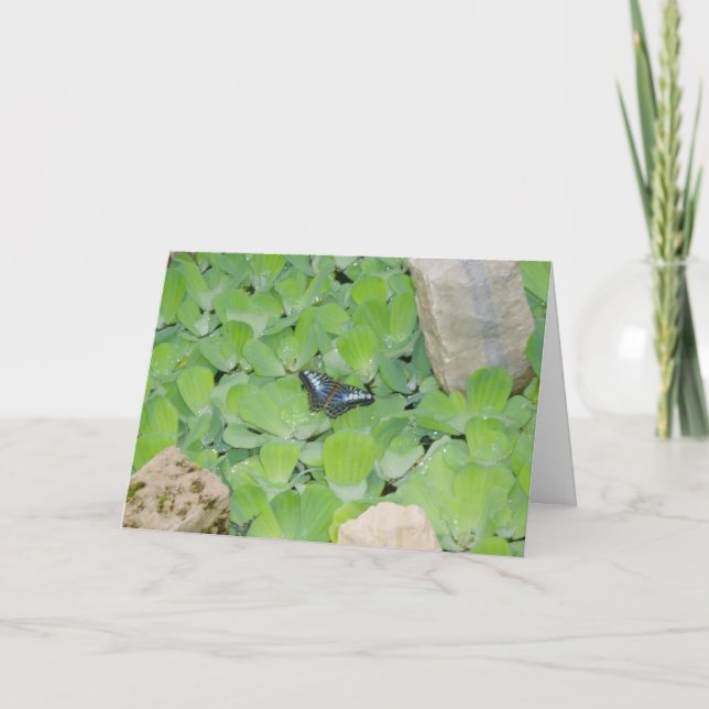 Carte de Pâques "Papillon Bleu" (Devant)