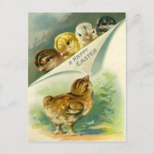 Carte de Pâques vintage Chicks