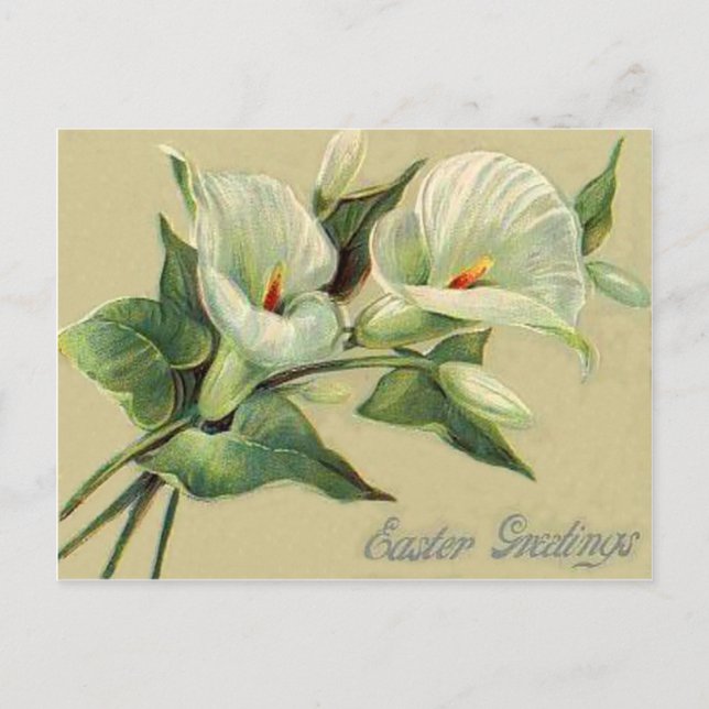 Carte de Pâques Vintage Lily (Devant)