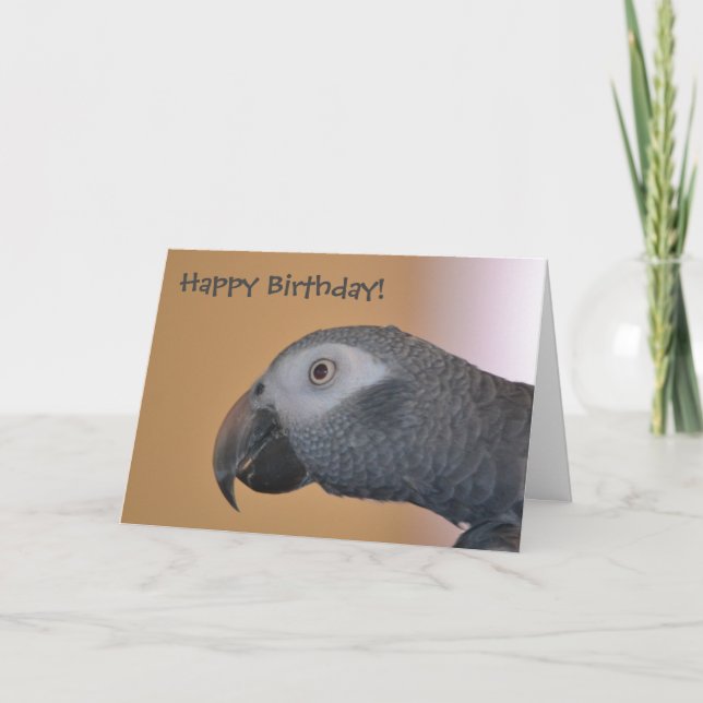 Carte de Parrot Birthday (Devant)