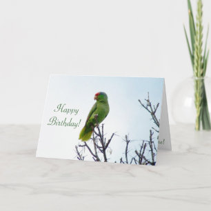 Carte de Parrot Birthday
