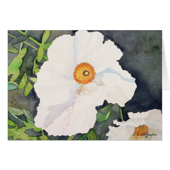 Carte de pavots de Matildja (Devant horizontal)