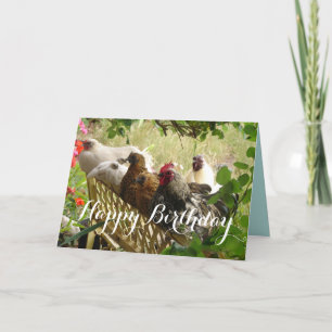 Carte de pays de la ferme Chook Cooster and Chicke