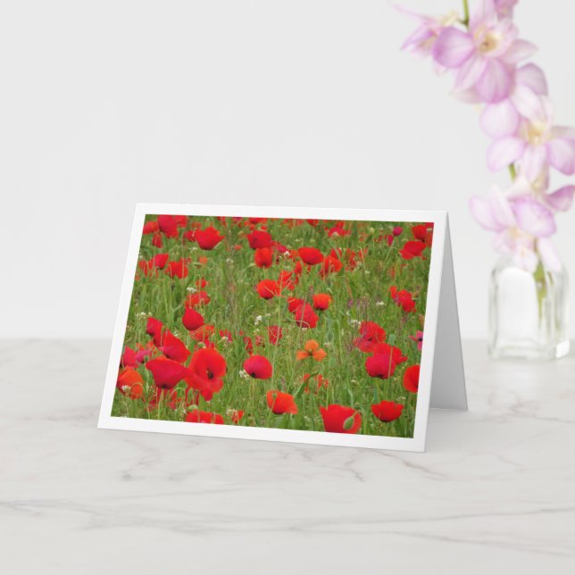 Carte de paysage Red Poppy Field (Orchidée)