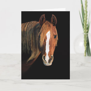 Carte de peinture de cheval