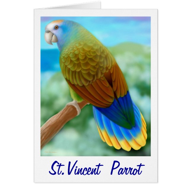 Carte de perroquet St Vincent en voie de dispariti (Devant)