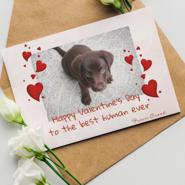 Carte de Personnaliser de la Saint-Valentin pour a (Créateur téléchargé)