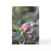 Carte de perte, bourgeon rose