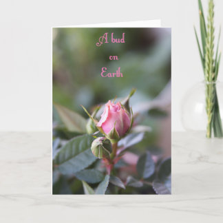 Carte de perte, bourgeon rose