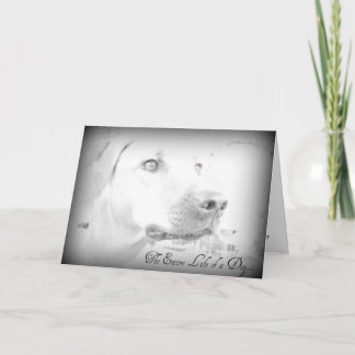 Carte de perte de chien
