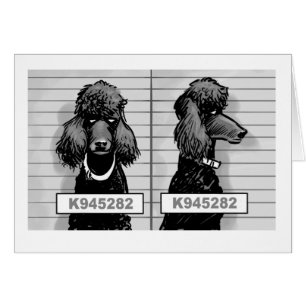 Carte de photo de détenu de chien