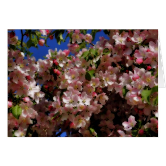 Carte de photographie à fleurs rose (Devant Horizontal)