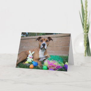 Carte de Pitbull Pâques